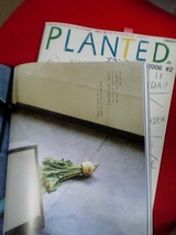 �����PLANTED��