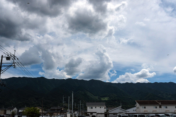 DSCF1691