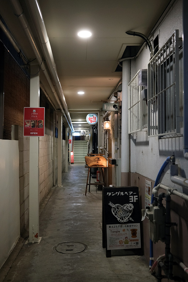 2023DSCF8181