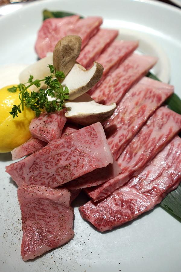 ��α�ơ־������羻��פǴ������ξ�����