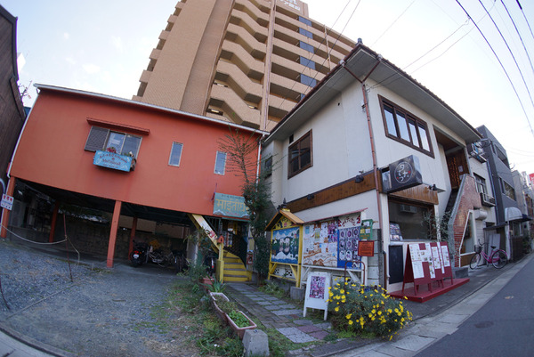 �ޥ��ƥ�����