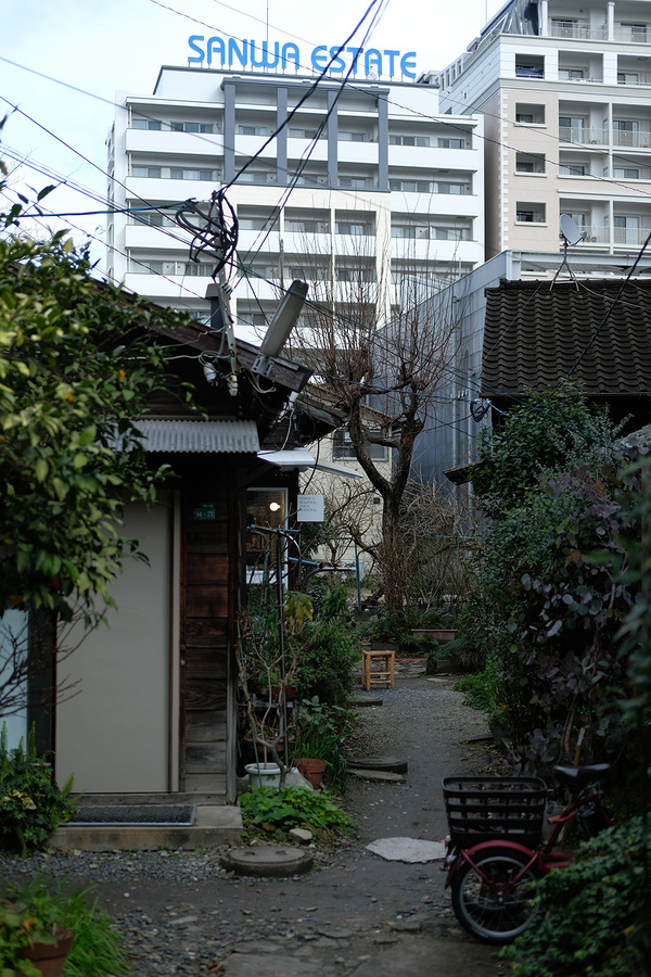 202402DSCF9314