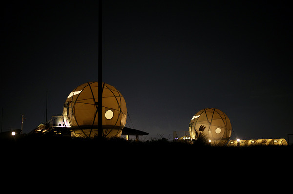 202409L1008365