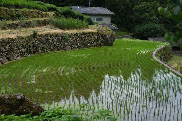 20220703DSCF7402