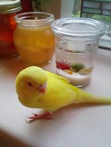 �޷��Ⱦ�ϡ�