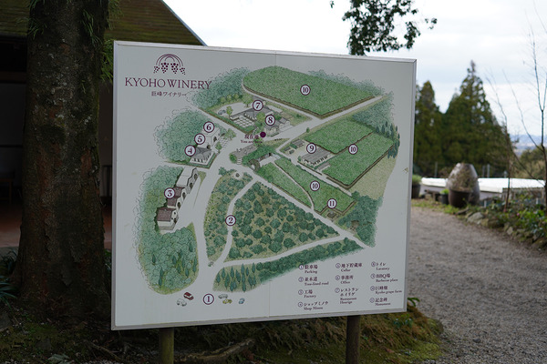 DSC0967520210228