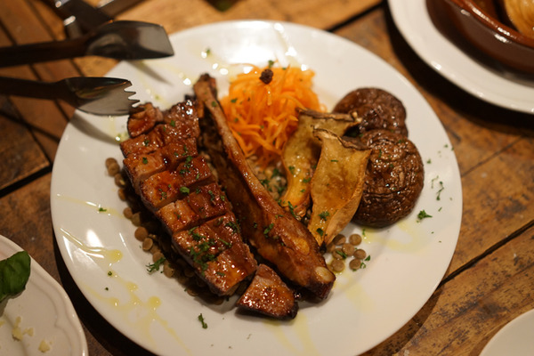 �磻��Ʋ�ץ��