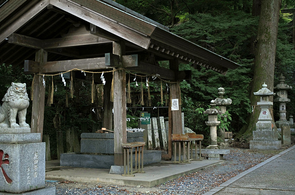 2023L1004876