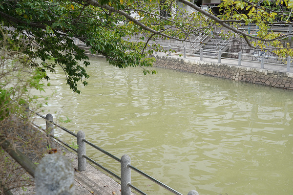 20210815DSC02846