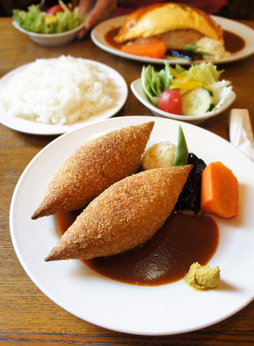 �֥饸�쥤�����ĥ��