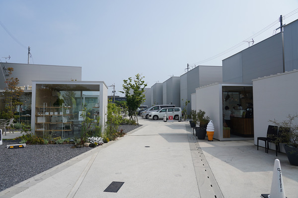 DSC00420