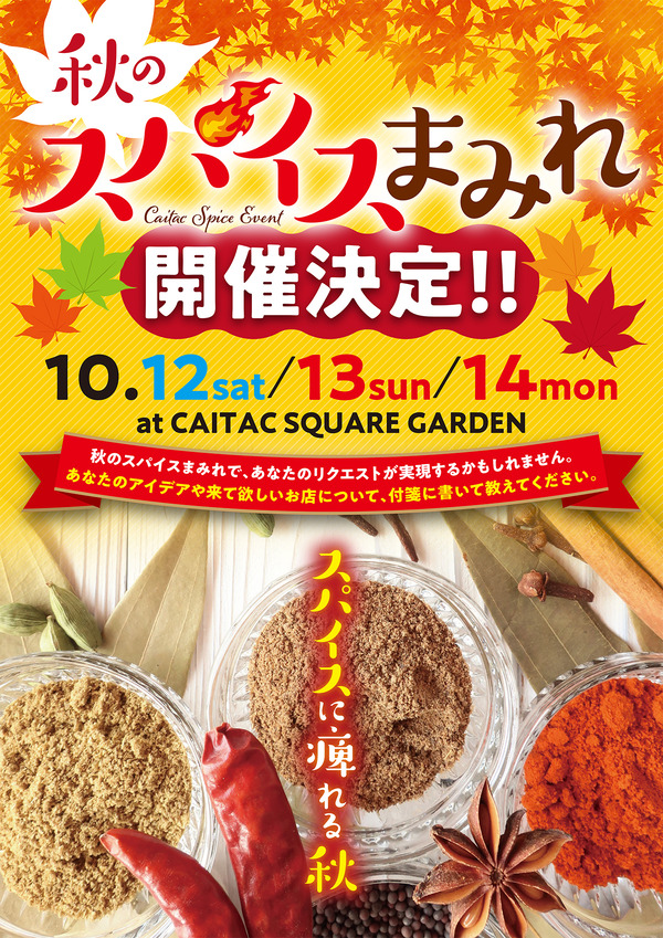 ���Υ��ѥ����ޤߤ�A2�ݥ�����_OL