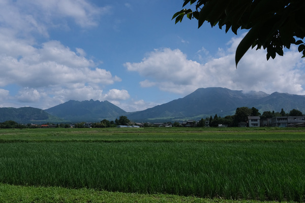 DSCF0500