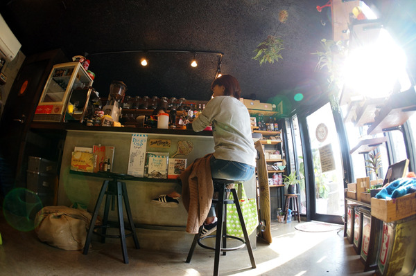 ���������ҡ�����Ź