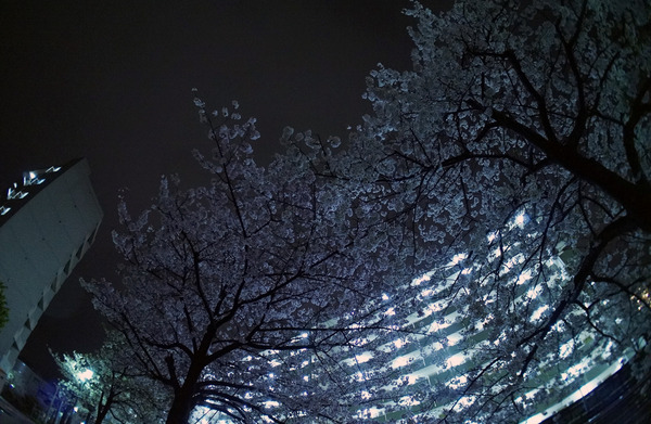 美松コーヒー香椎店