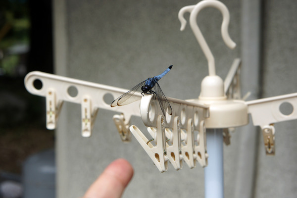 ��������ȥ��