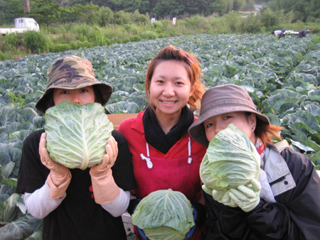 �Ұ����ѡ��Ȥ����罸��Ǥ���