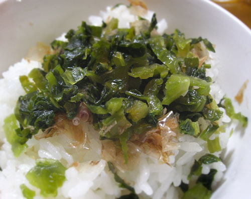 高菜ごはん
