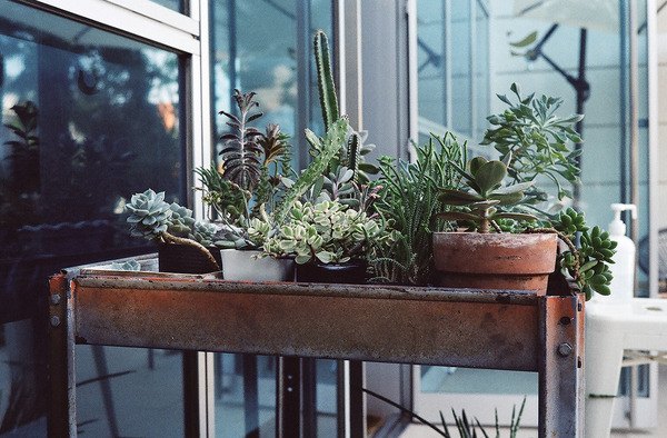 CL2021springIMAGE0004