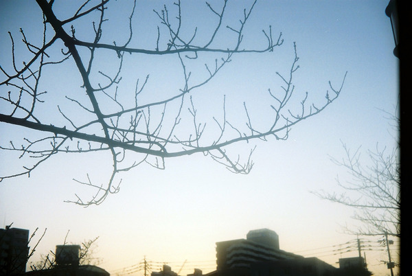 20211031rolleib35FH000019