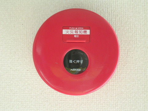 Proprietary-type_fire_alarm_manual_call_point