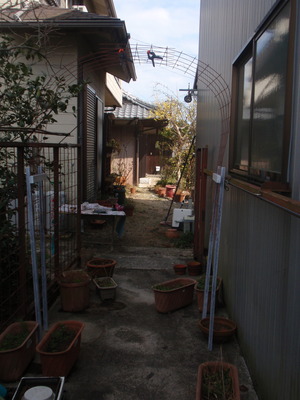 P3180720