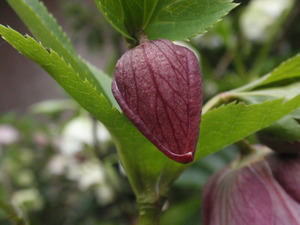 P3150471