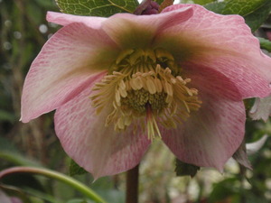 P3150473