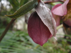 P3150472