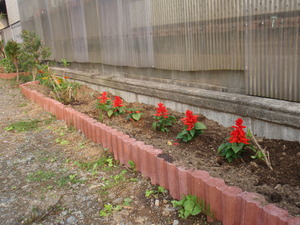 P4300302