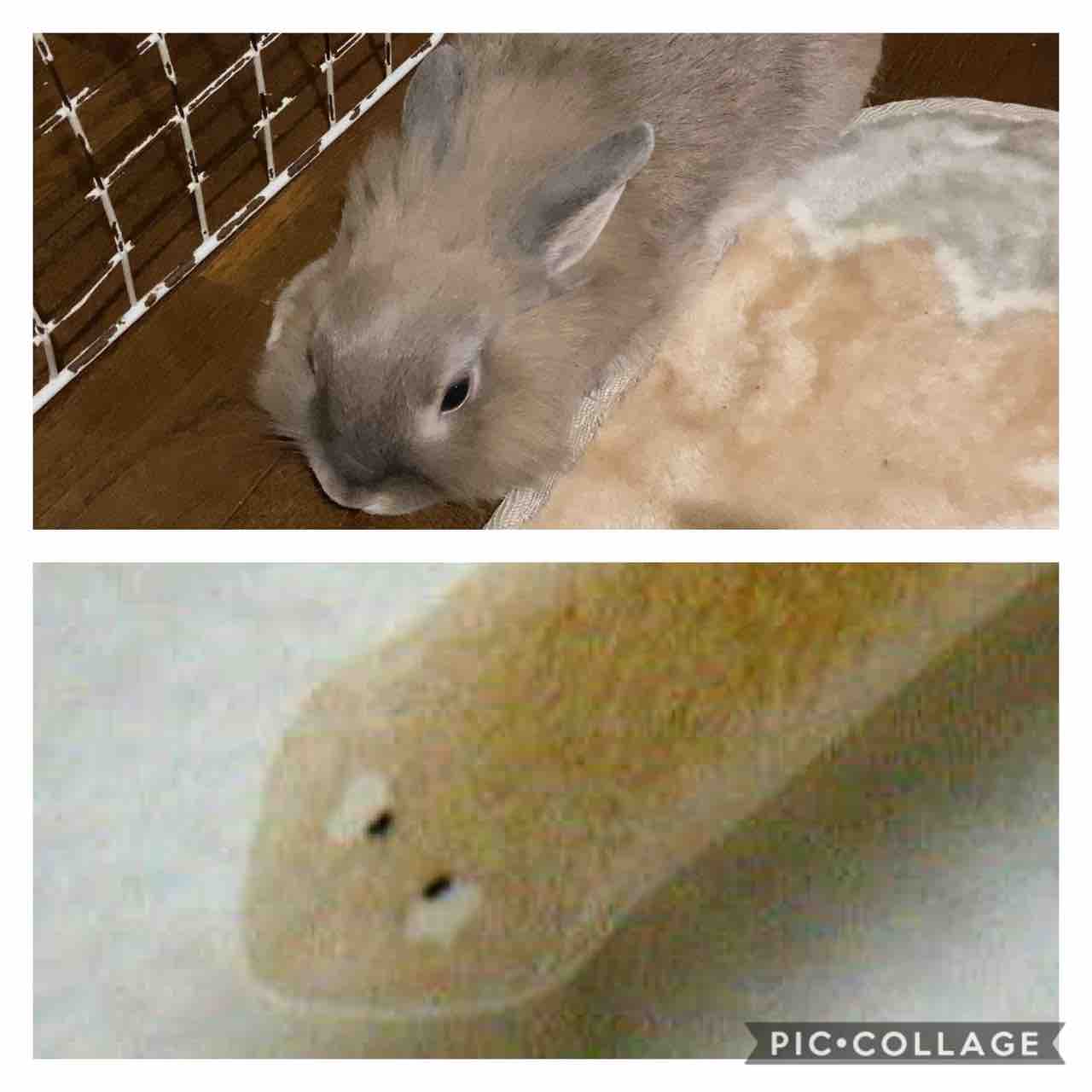 似てる おむらいふ