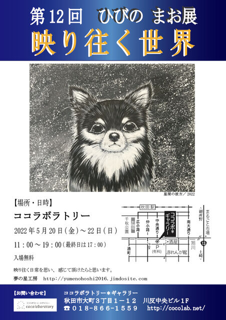 ��12���Ÿ���ե饤�䡼