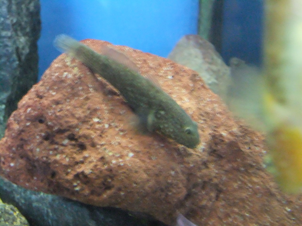 12年度 またまた行ってきました箱根プチ観光 その9 芦ノ湖ヘッポコ釣り日記 3 Since 07 12年度 またまた行ってきました箱根プチ観光 その9 芦ノ湖ヘッポコ釣り日記 3 Since 07