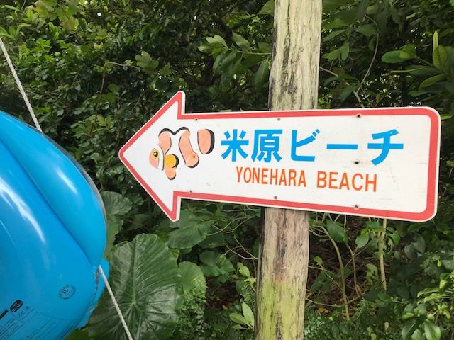 石垣島で魚喰い 2 魚喰い 石垣島で魚喰い 2 魚喰い