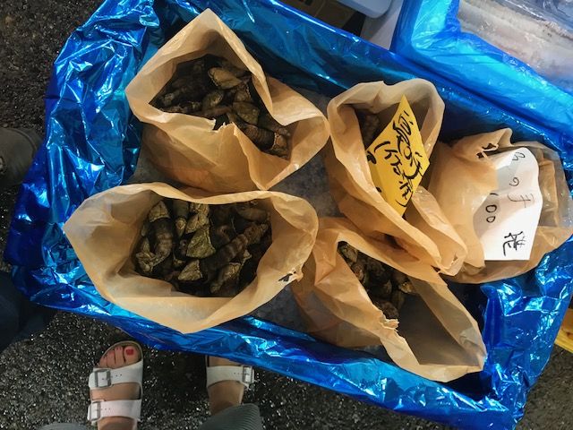 高級食材 ミネフジ ボ 魚喰い