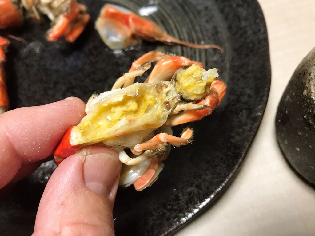 珍 マジャクを喰らう 魚喰い 珍 マジャクを喰らう 魚喰い