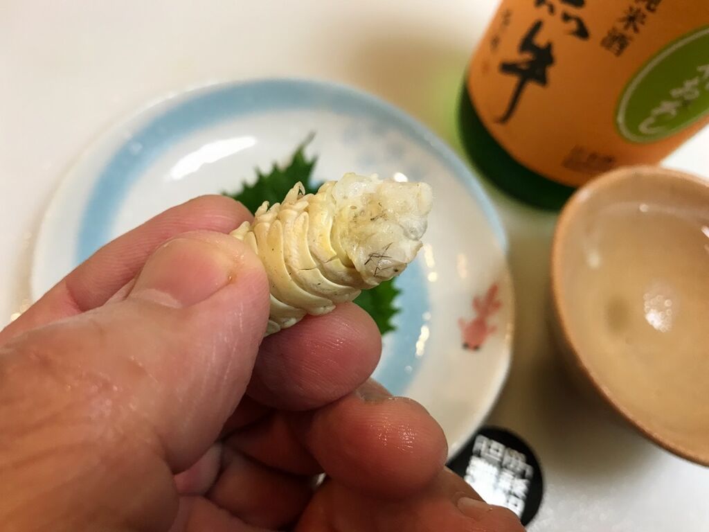 閲覧注意 タイノエを喰らう 魚喰い