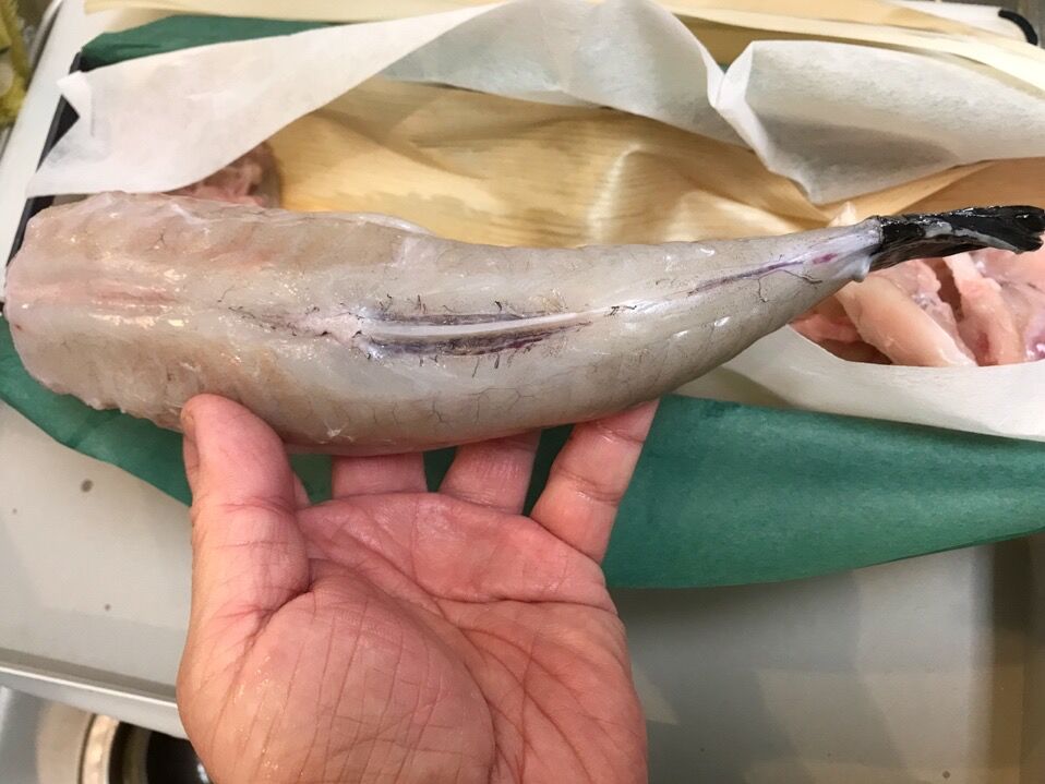 自宅でリーズナブルにフグを食べる 魚喰い