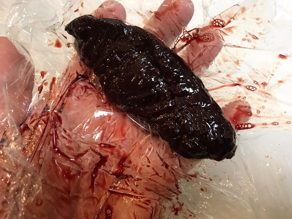 初の海獣肉を喰らう ヒレ編 魚喰い