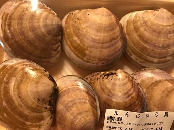 埼玉で潮干狩り 魚喰い 埼玉で潮干狩り 魚喰い