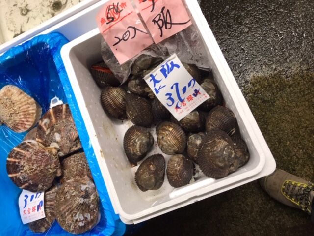 赤貝の食べ比べ 魚喰い