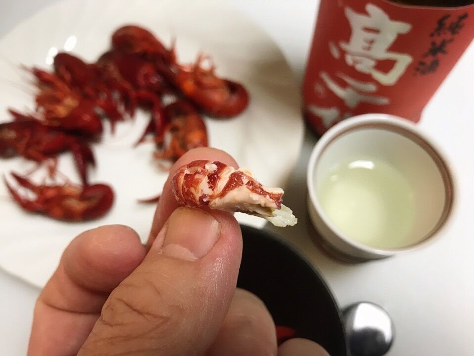 アメリカザリガニを食す 魚喰い アメリカザリガニを食す 魚喰い