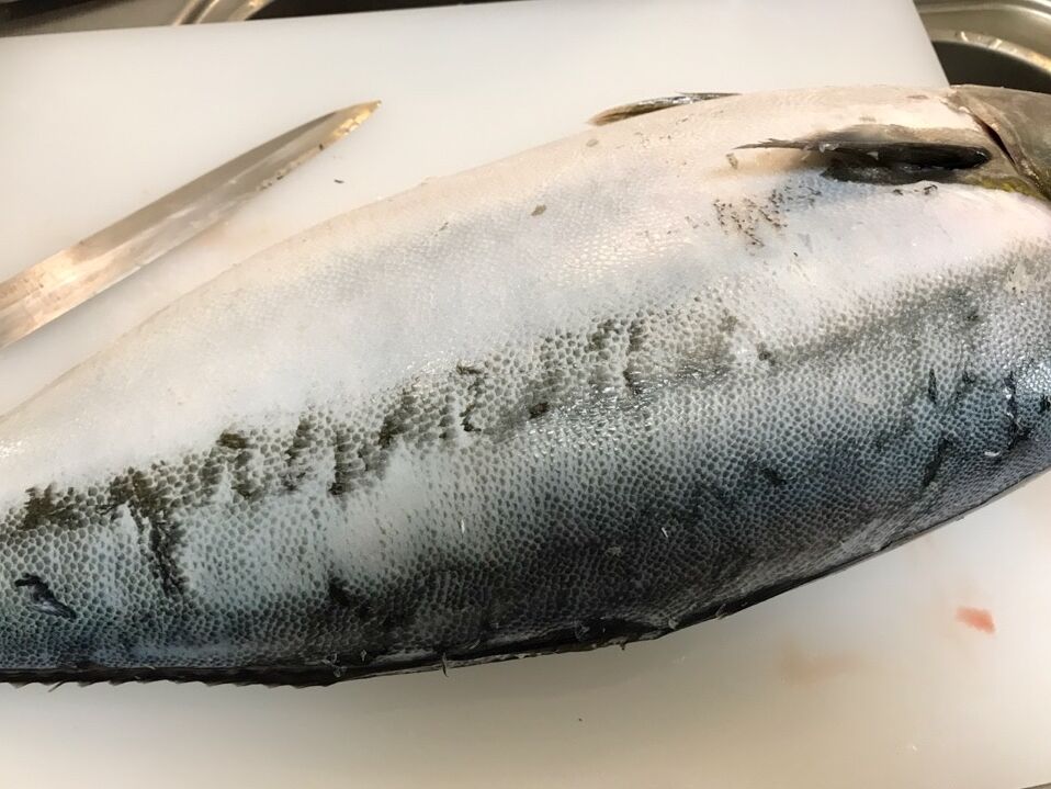 自宅で春のブリ祭り 魚喰い