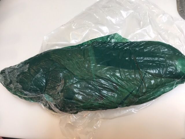 初のお魚 アカハタモドキを喰らう 魚喰い