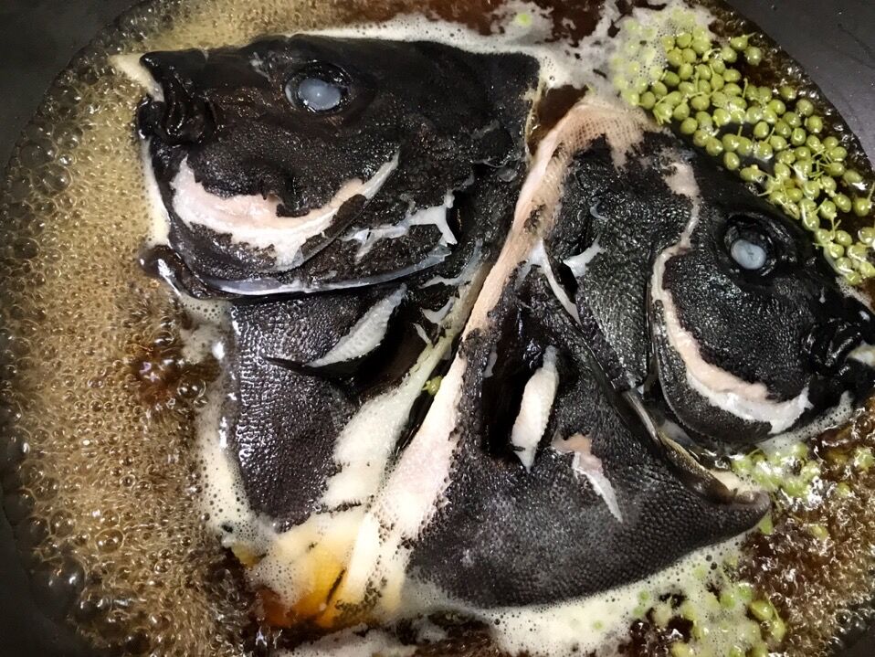 イシガキイシダイを喰らう 魚喰い