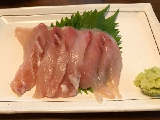 17年09月 魚喰い 17年09月 魚喰い