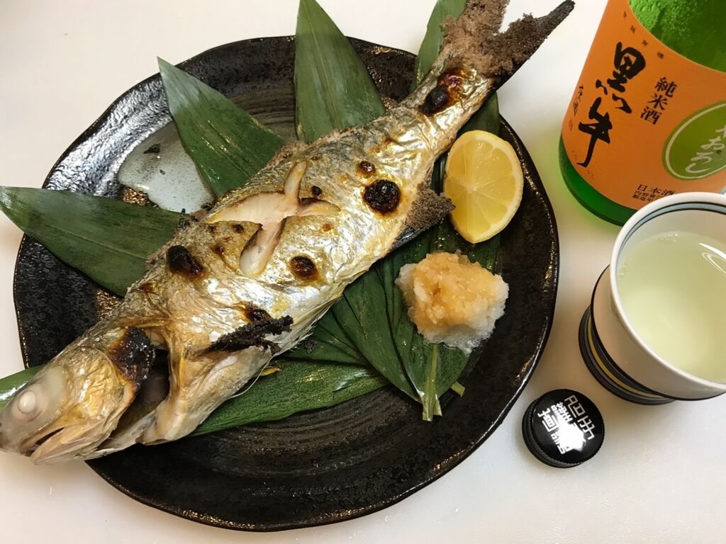 初のお魚 ツバメコノシロを喰らう 魚喰い 初のお魚 ツバメコノシロを喰らう 魚喰い