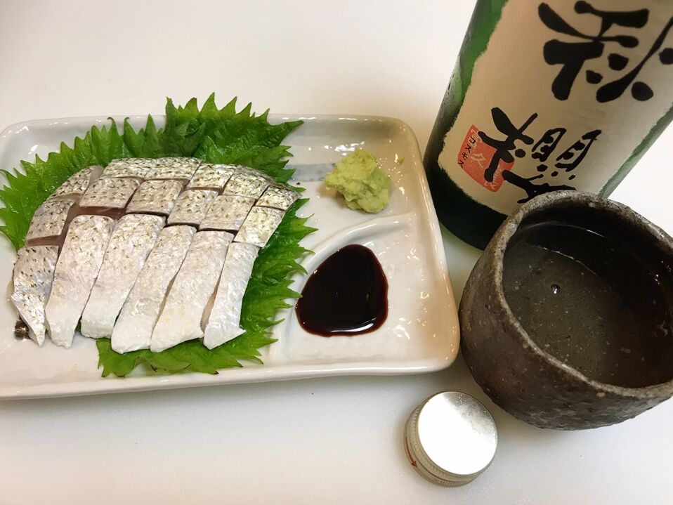 初のお魚 ツバメコノシロを喰らう 魚喰い 初のお魚 ツバメコノシロを喰らう 魚喰い
