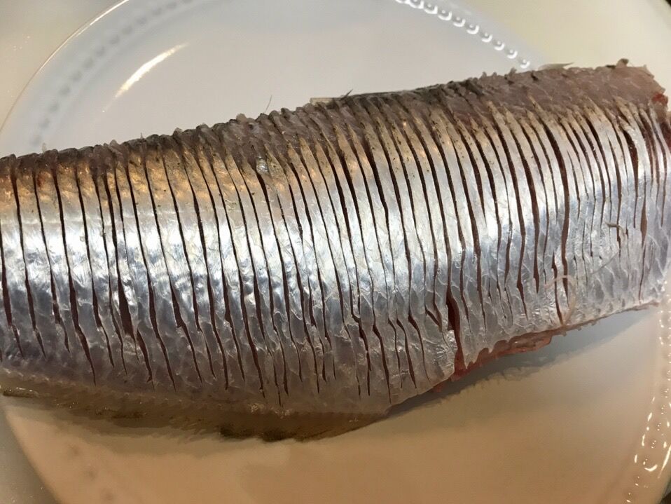 久々のヒラ 魚喰い
