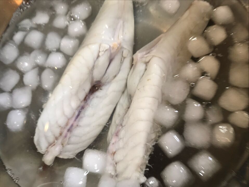 おうち花見 魚喰い おうち花見 魚喰い